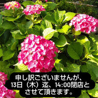 画像1486