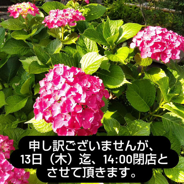 画像1486