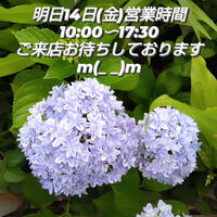画像1492