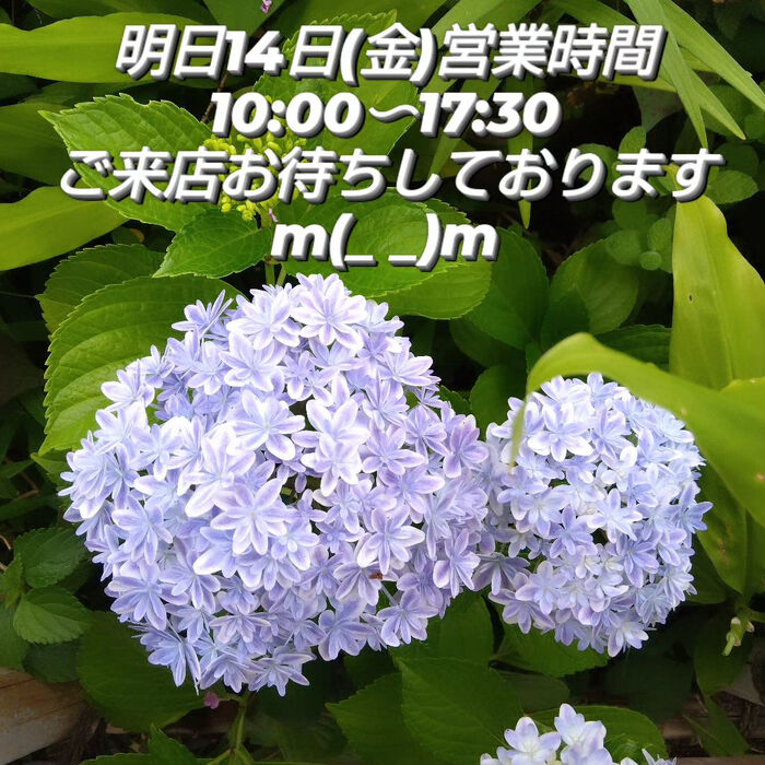 画像1492