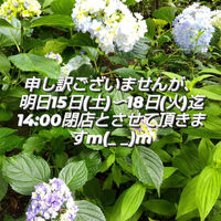 画像1494