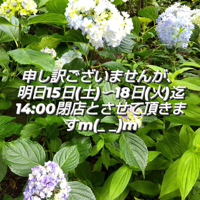 画像1494