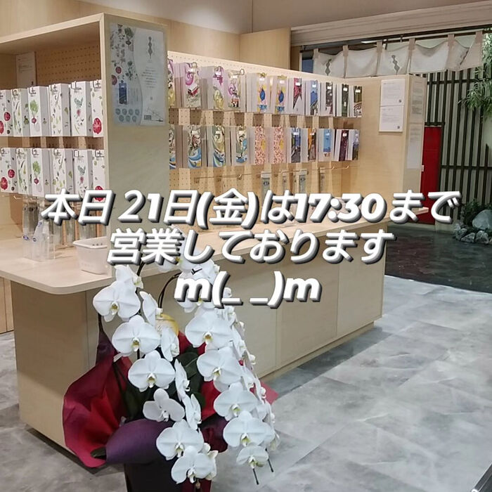 画像1504