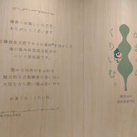 画像1526