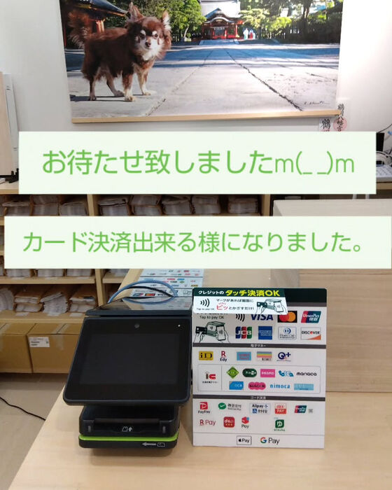 画像4965