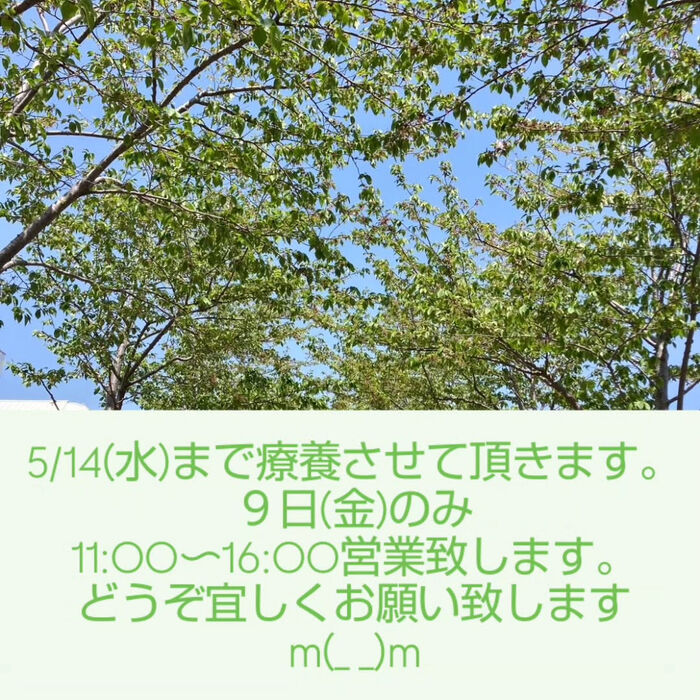 画像5390