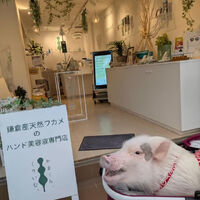 動画サムネイル